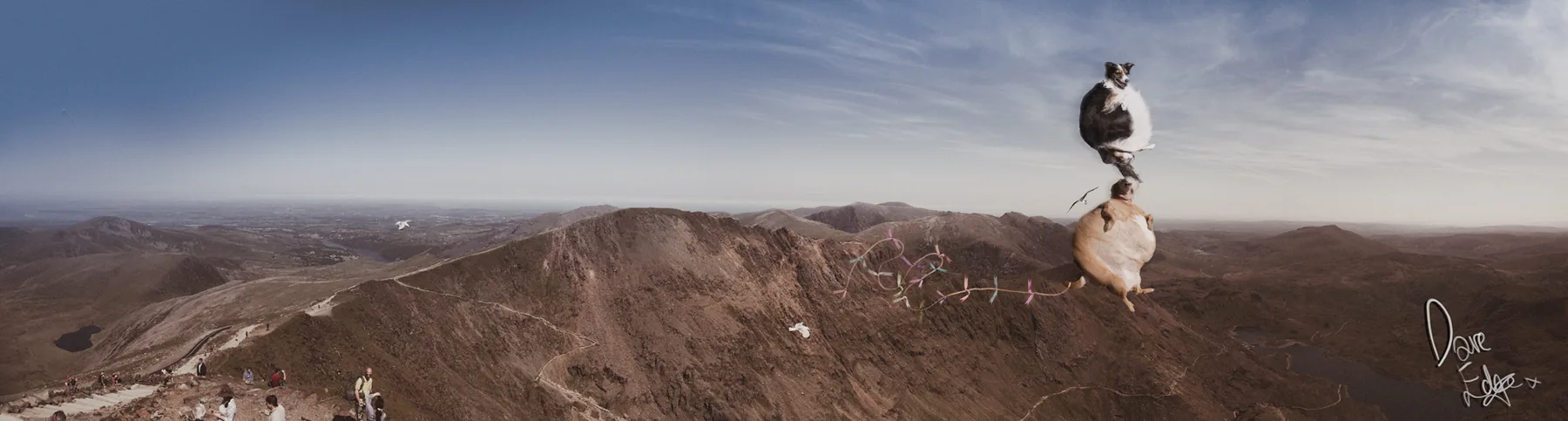 The Britographer — Britain's Natural World