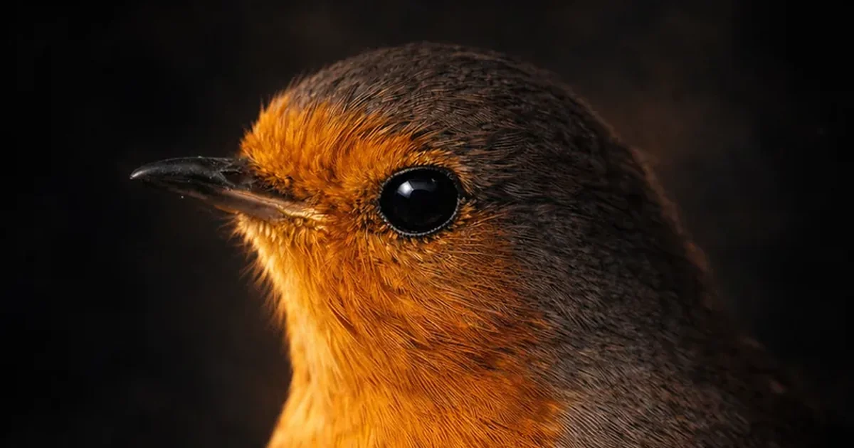 The Britographer — Britain's natural world